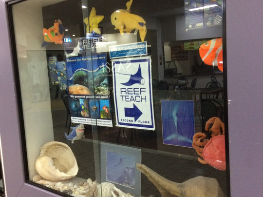 Marine Discoveries-凯恩斯必去景点