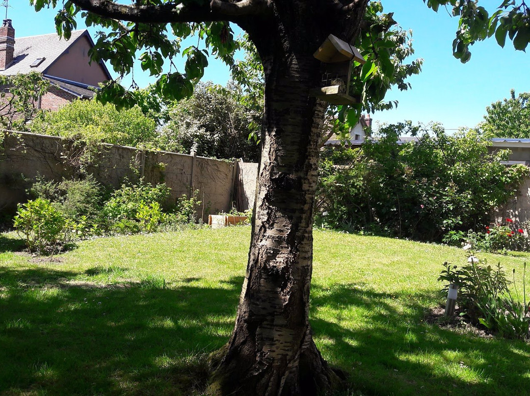 Le Clos de Louise主图