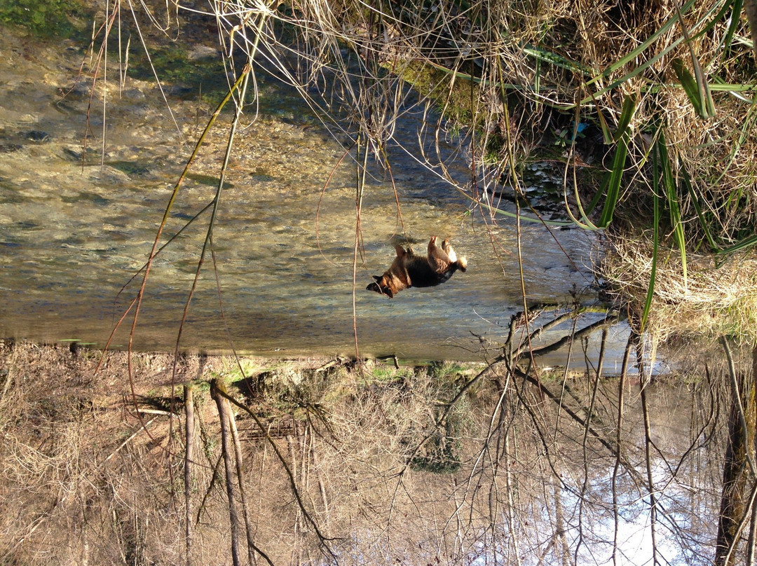 Santi Angeli旅游景点-Le Volpere e Passo Barca