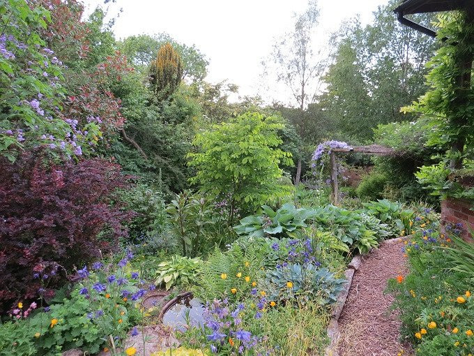 Moors Meadow Gardens景点图片