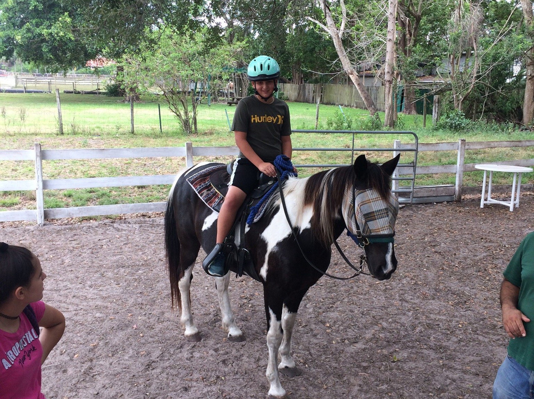 Happy Pony World-Southwest Ranches必去景点