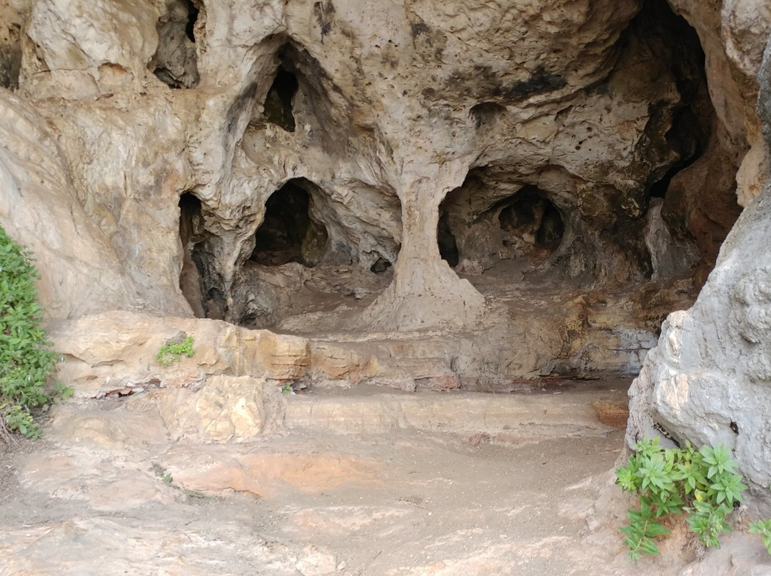 Ein Hod旅游景点-Nahal Mearot Nature Preserve