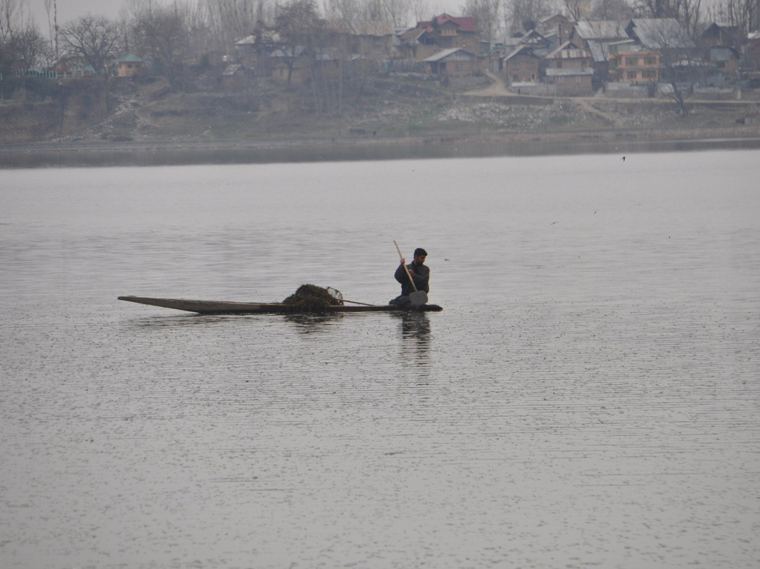 Manasbal Lake-斯利那加必去景点