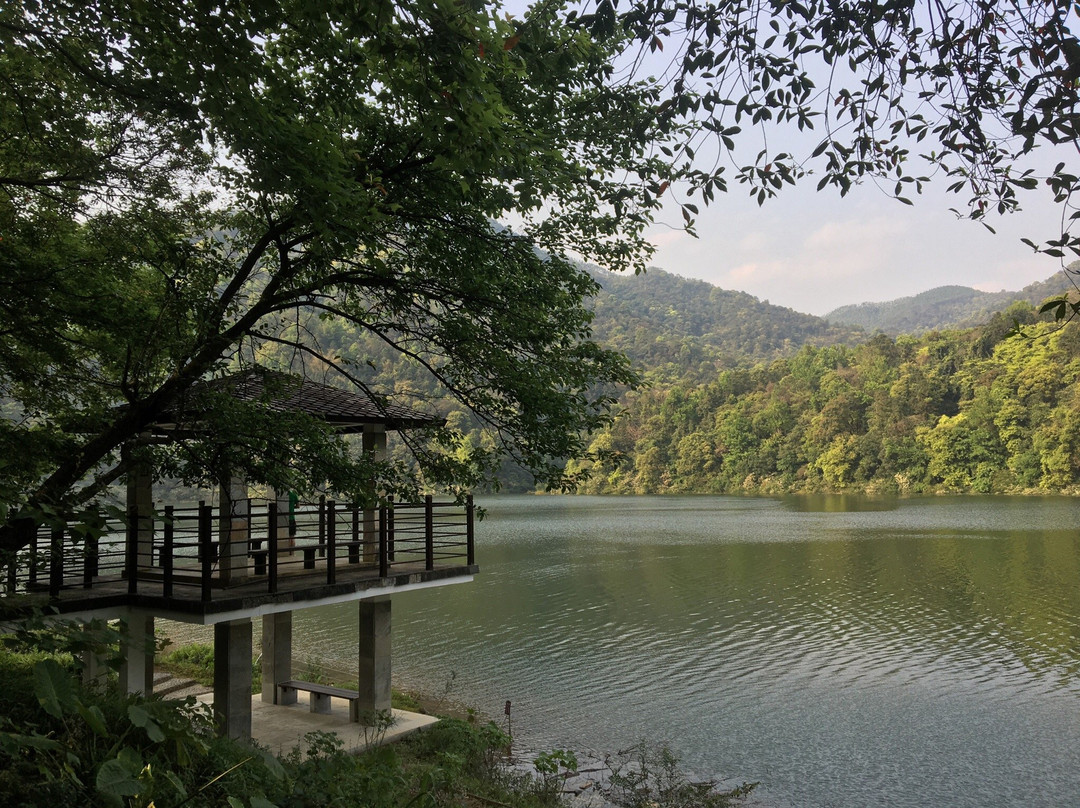 石门森林公园景点图片