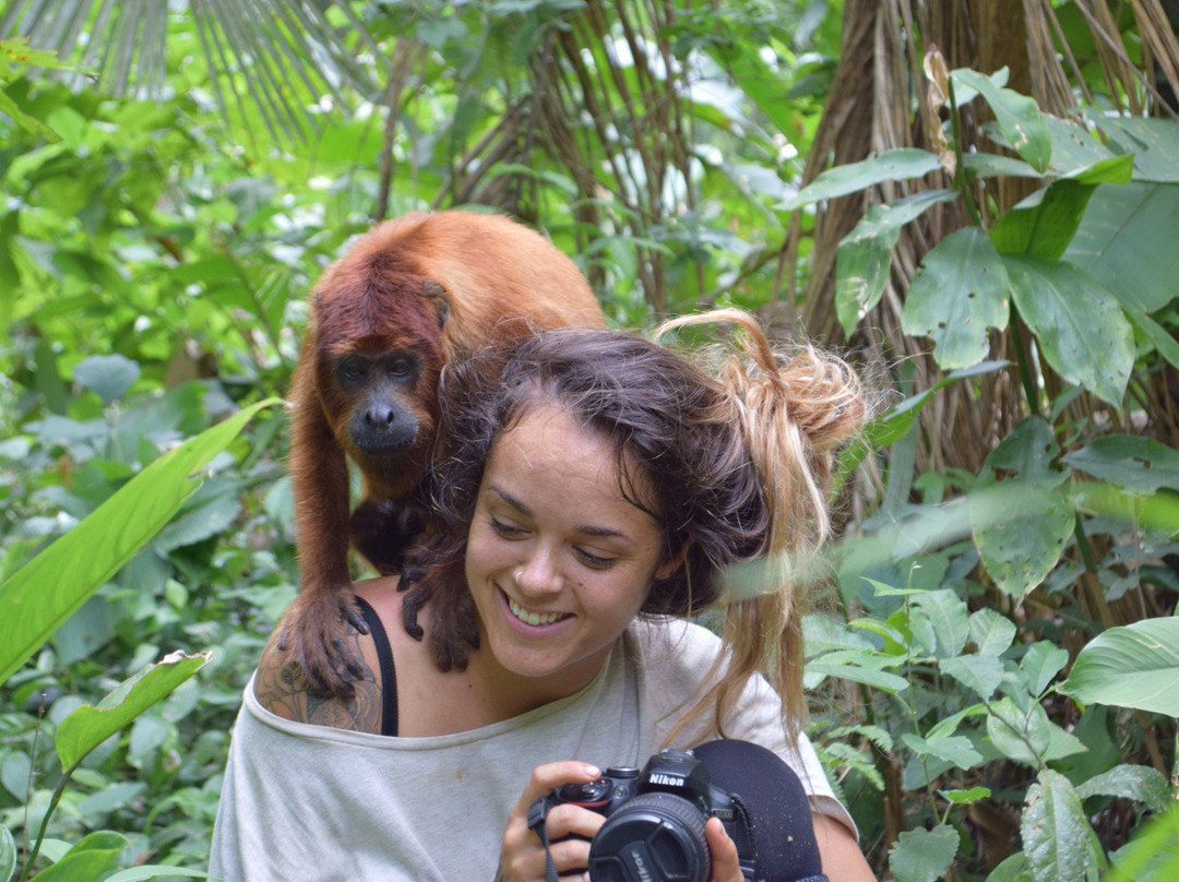 Comunidad Inti Wara Yassi (CIWY)-科恰班巴必去景点