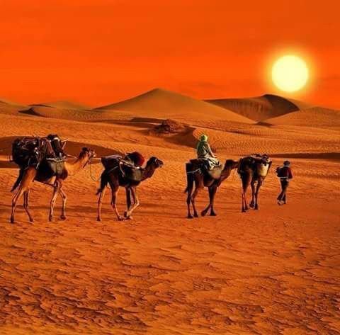 Advisor Morocco Tours