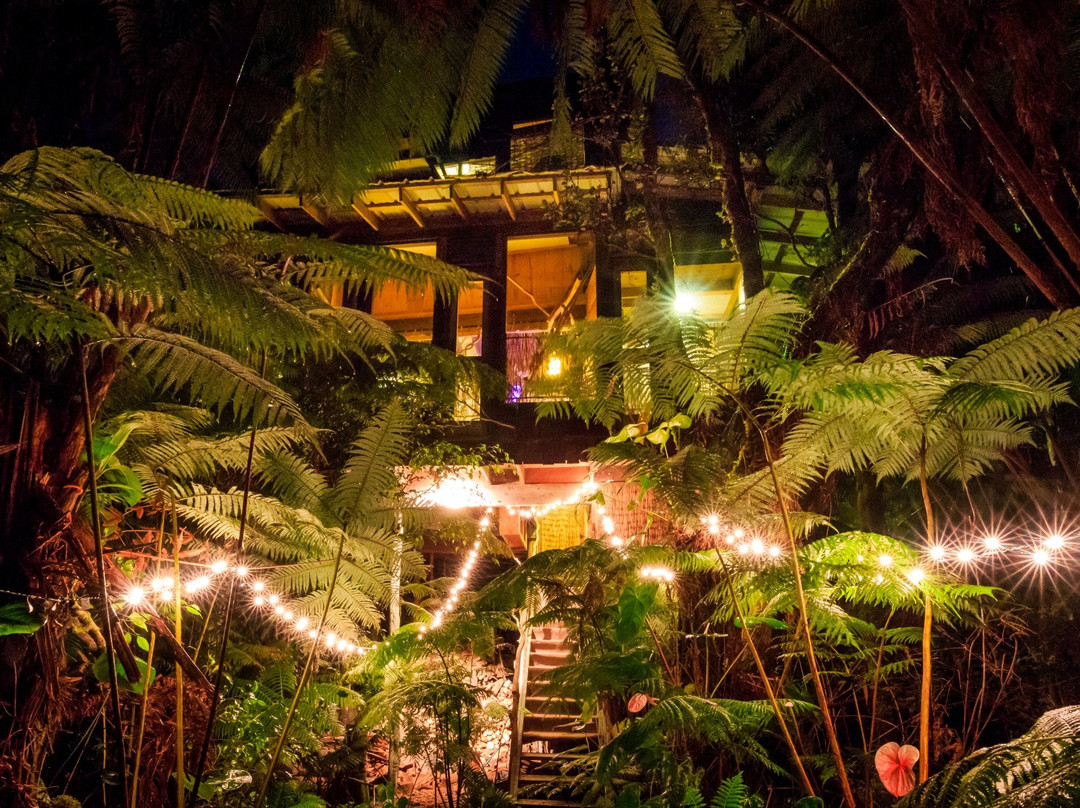 山景城酒店住宿-斯凯树屋酒店