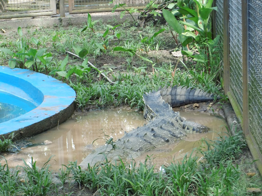 Parque Zoologico La Guaricha景点图片