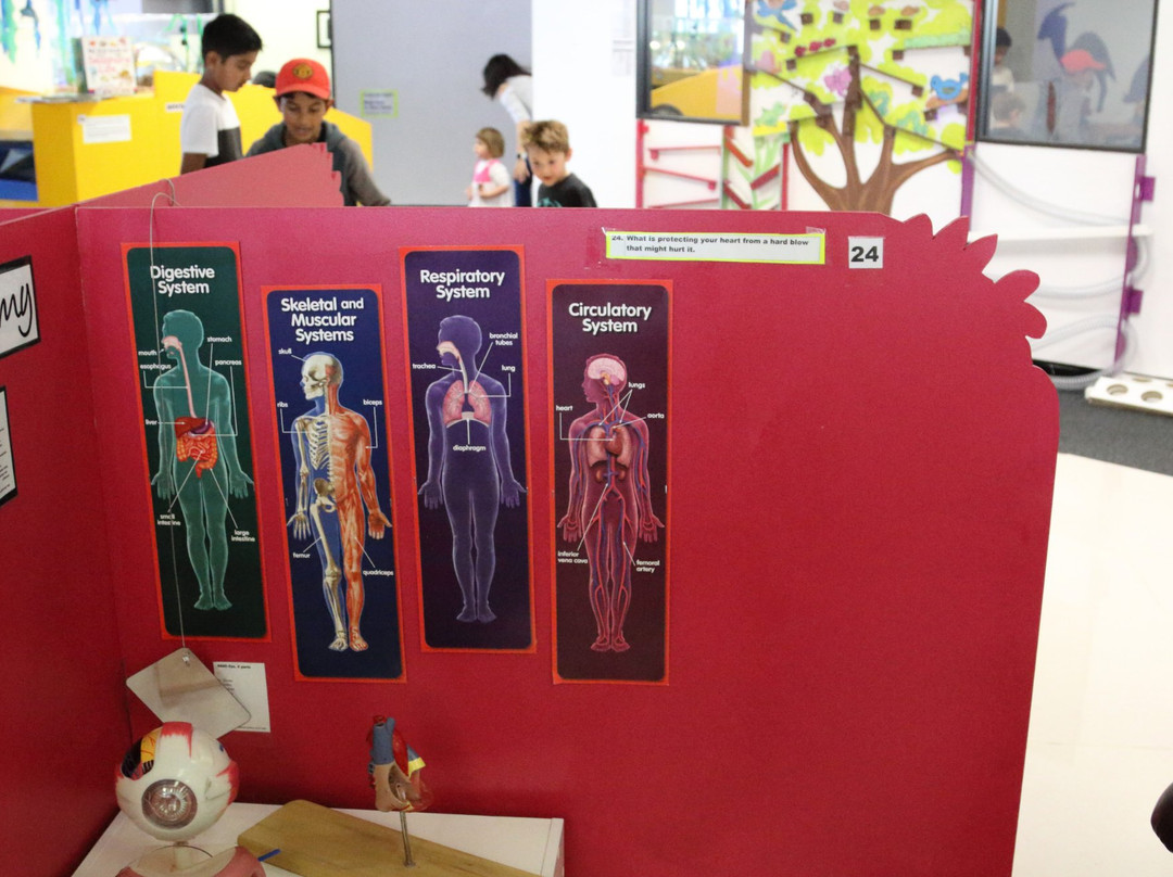 My Science Playroom-奥克兰中心地区必去景点