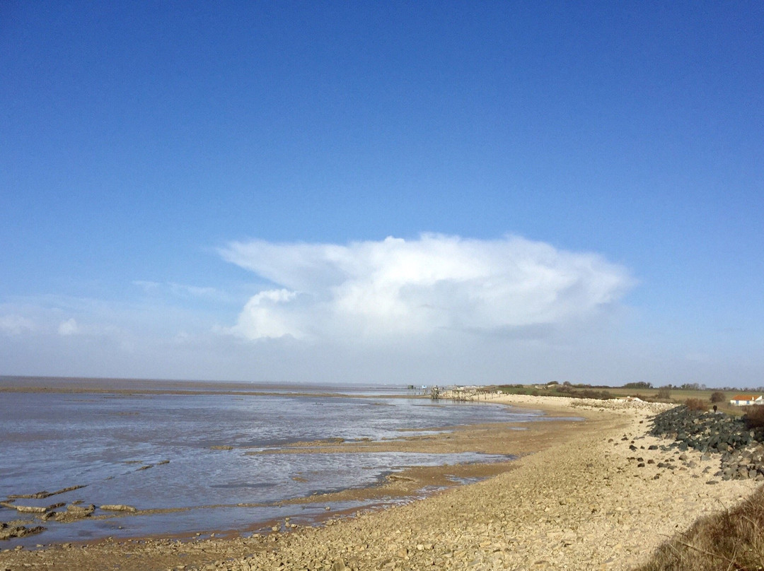 La Borderie du Go主图