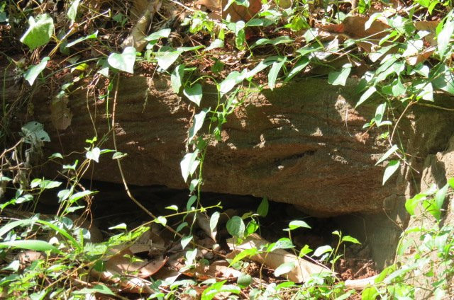 Kim Long Tunnels-头顿必去景点