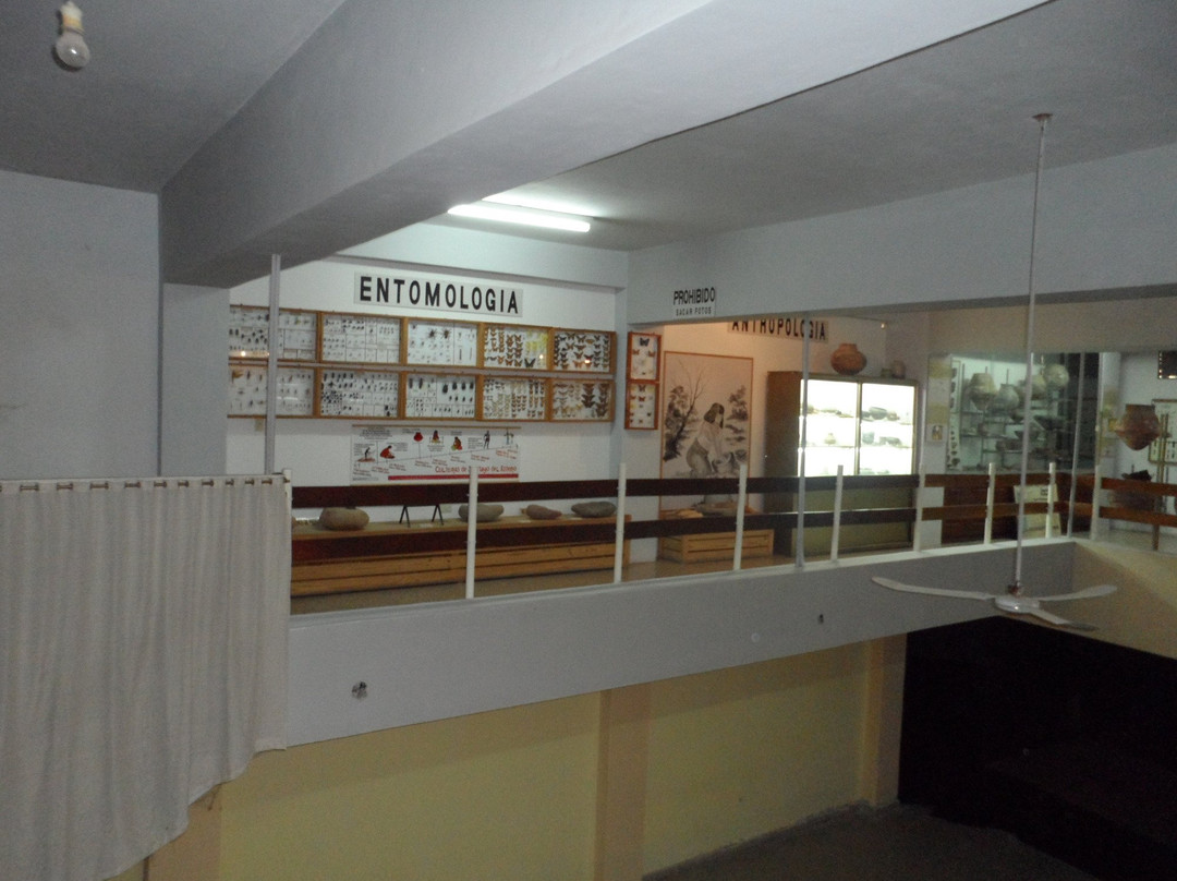 Museo Municipal Rincon de Atacama景点图片