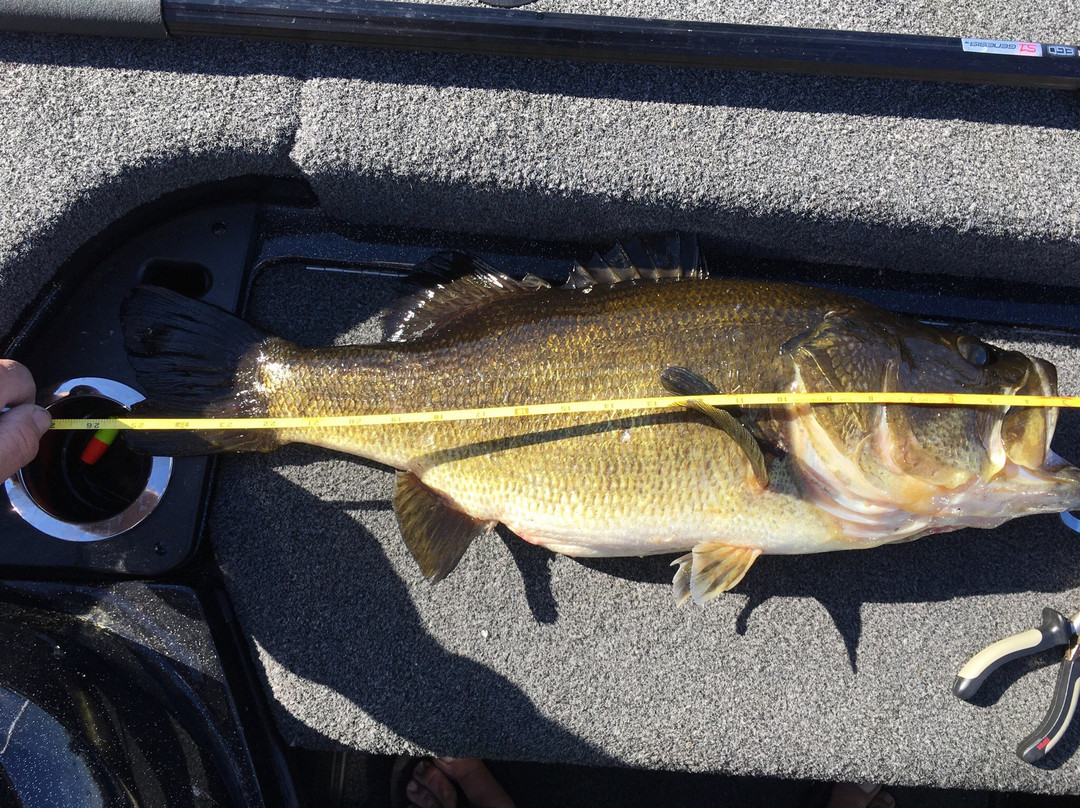 Georgetown旅游攻略图片