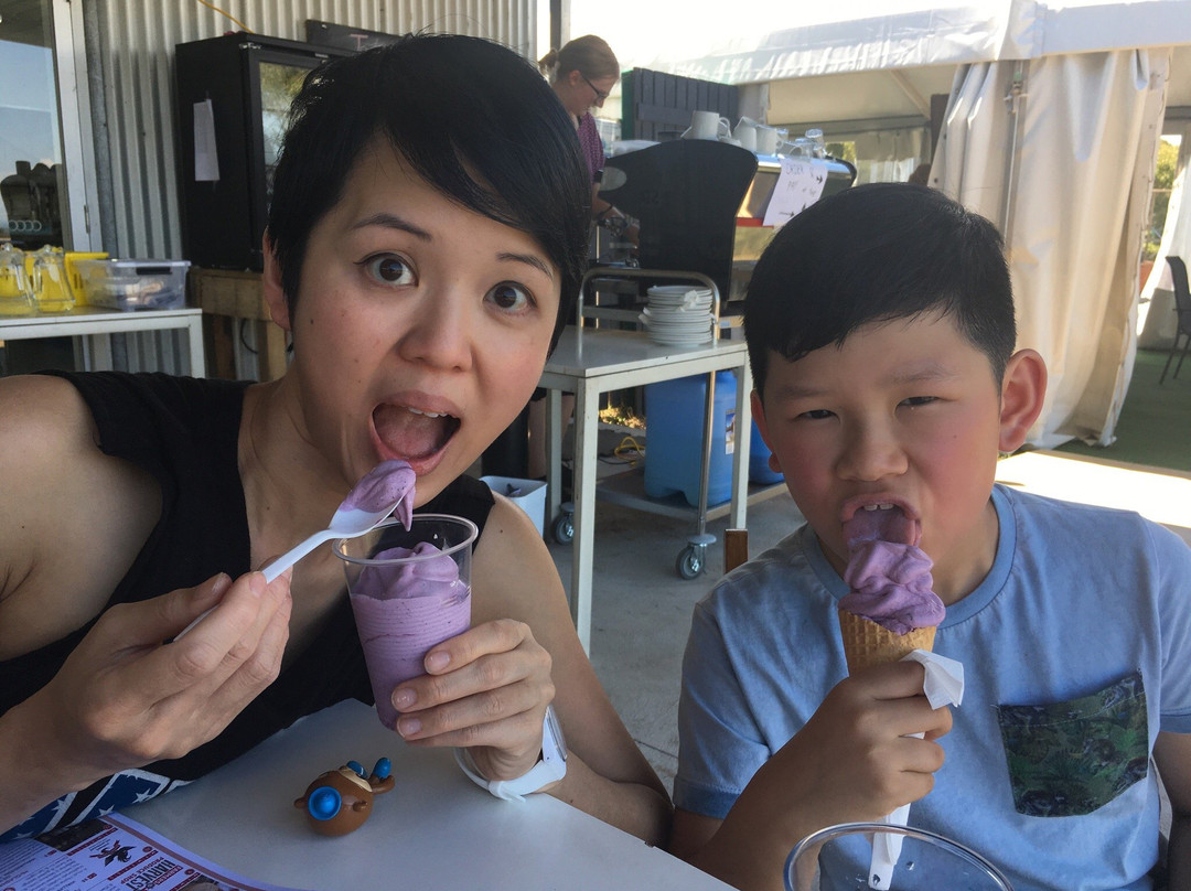 Tuckerberry Hill Blueberry Farm-Drysdale必去景点