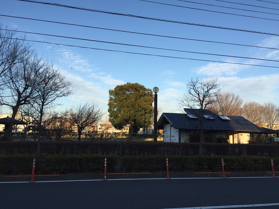 Maehara Park-狛江市必去景点
