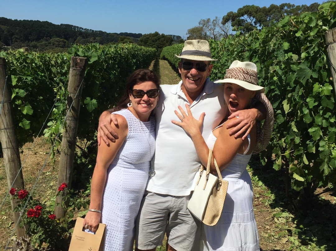 Executive Wine Tours-墨尔本必去景点