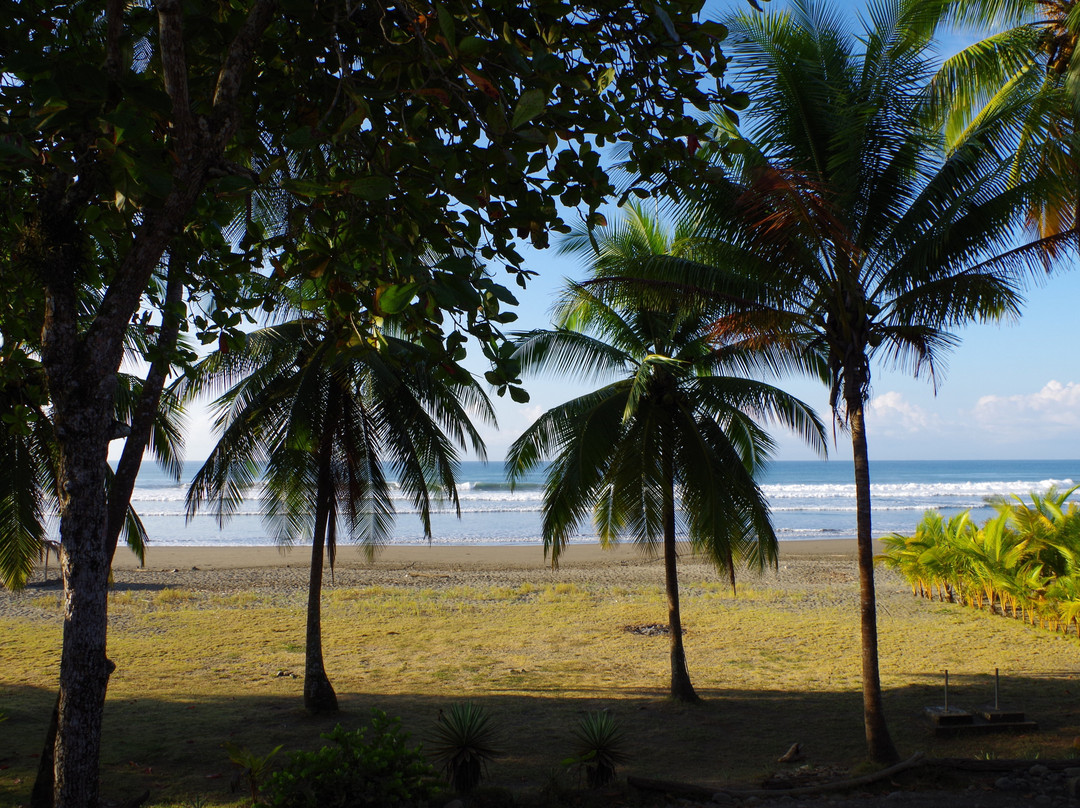 Hotel Delfin Playa Bejuco主图