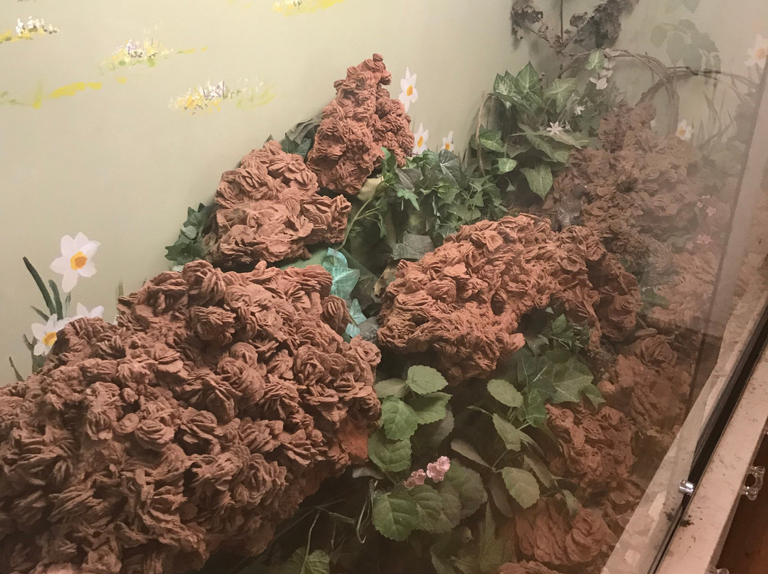 Timberlake Rose Rock Museum-Noble必去景点