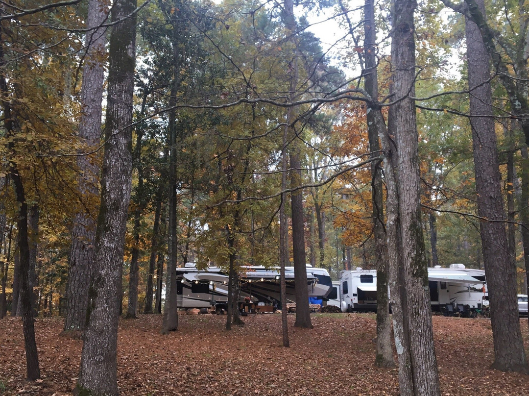 Kincaid Recreation Area-Boyce必去景点