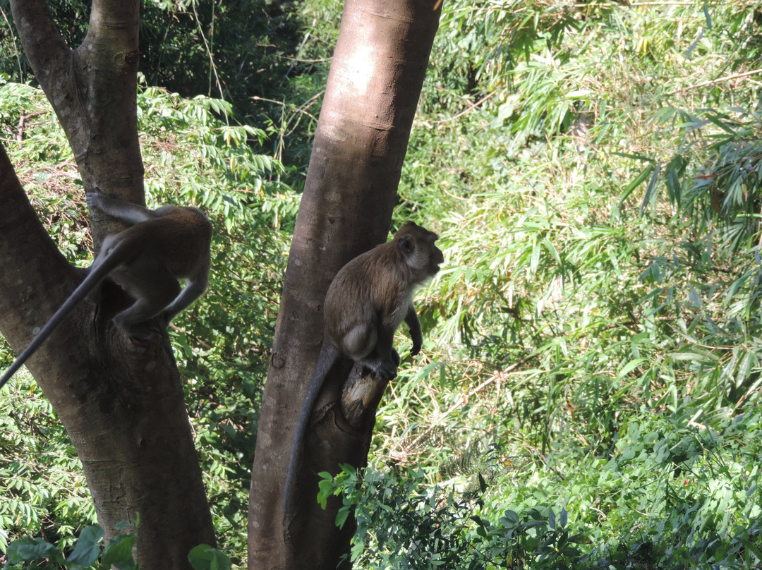 Taxi Service Siem Reap to Phnom Penh-暹粒必去景点