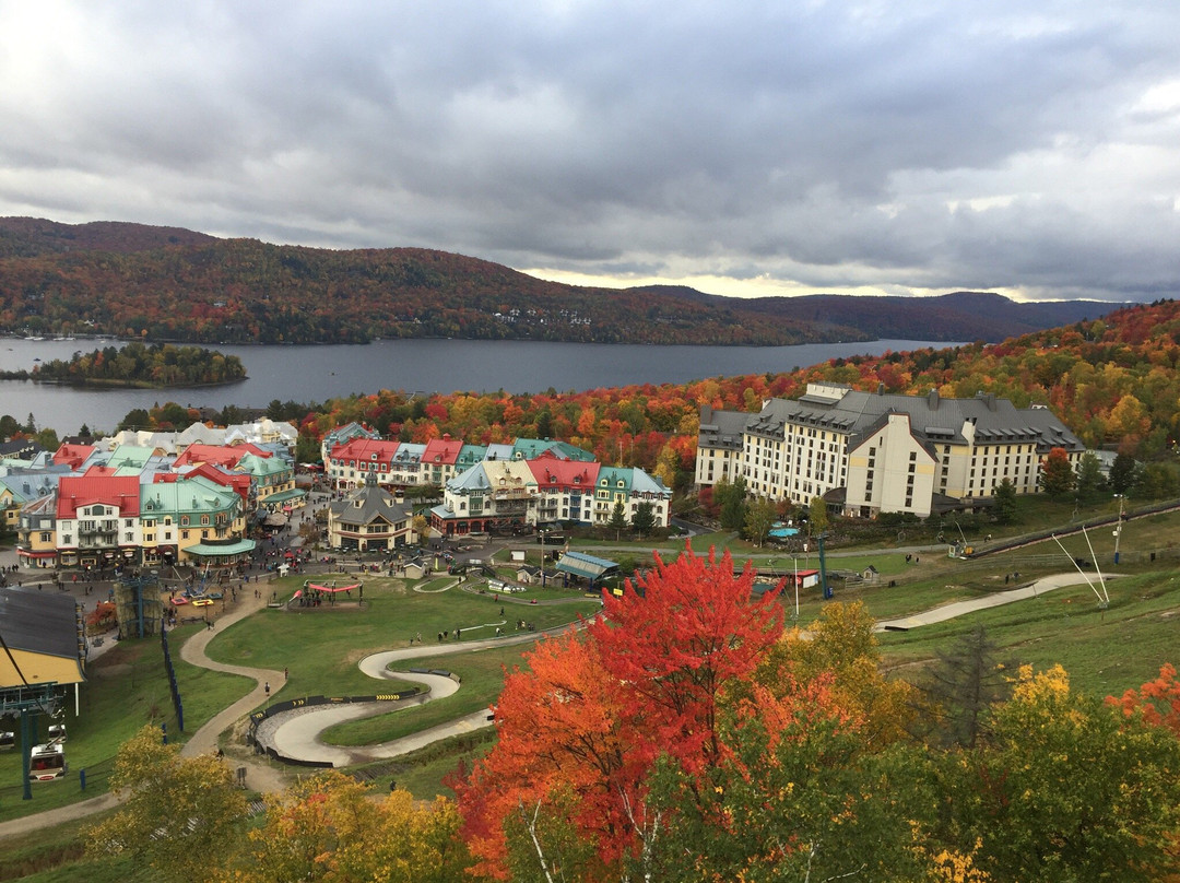 Aventures Parc Mont-Tremblant-塔伯拉山必去景点