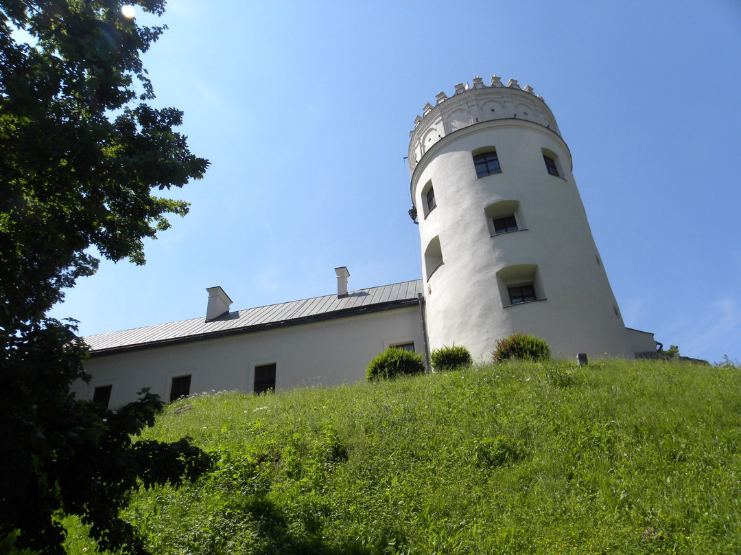 Kazimierzowski Castle景点图片