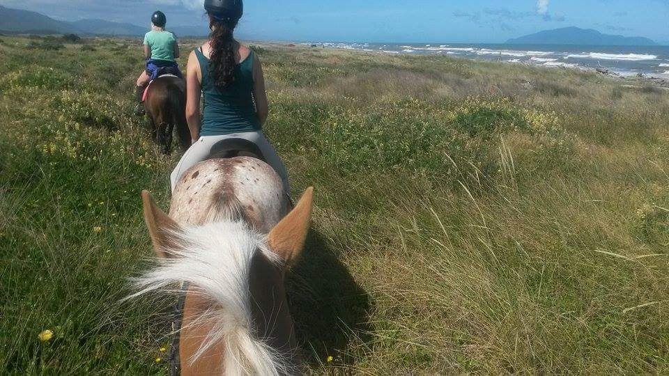 Beachbrook Riding Stables景点图片