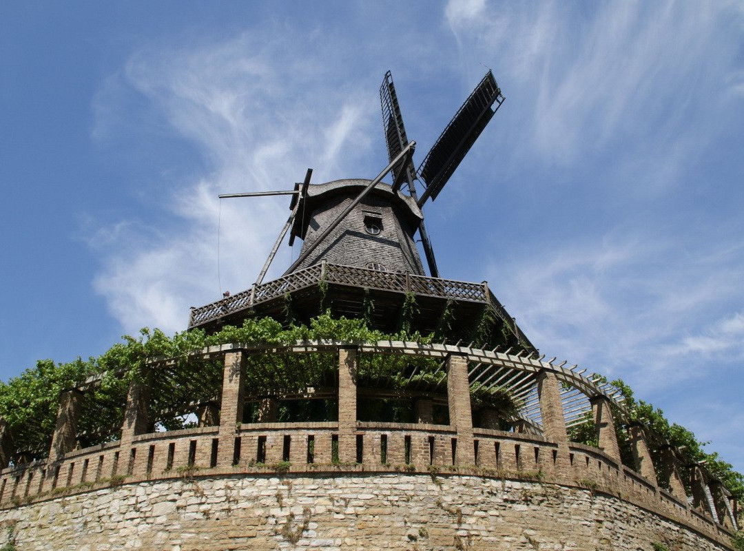 The Historic Windmill景点图片