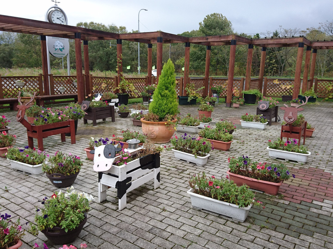 Michi-no-Eki Nishiokoppe Kamu-西兴部村必去景点