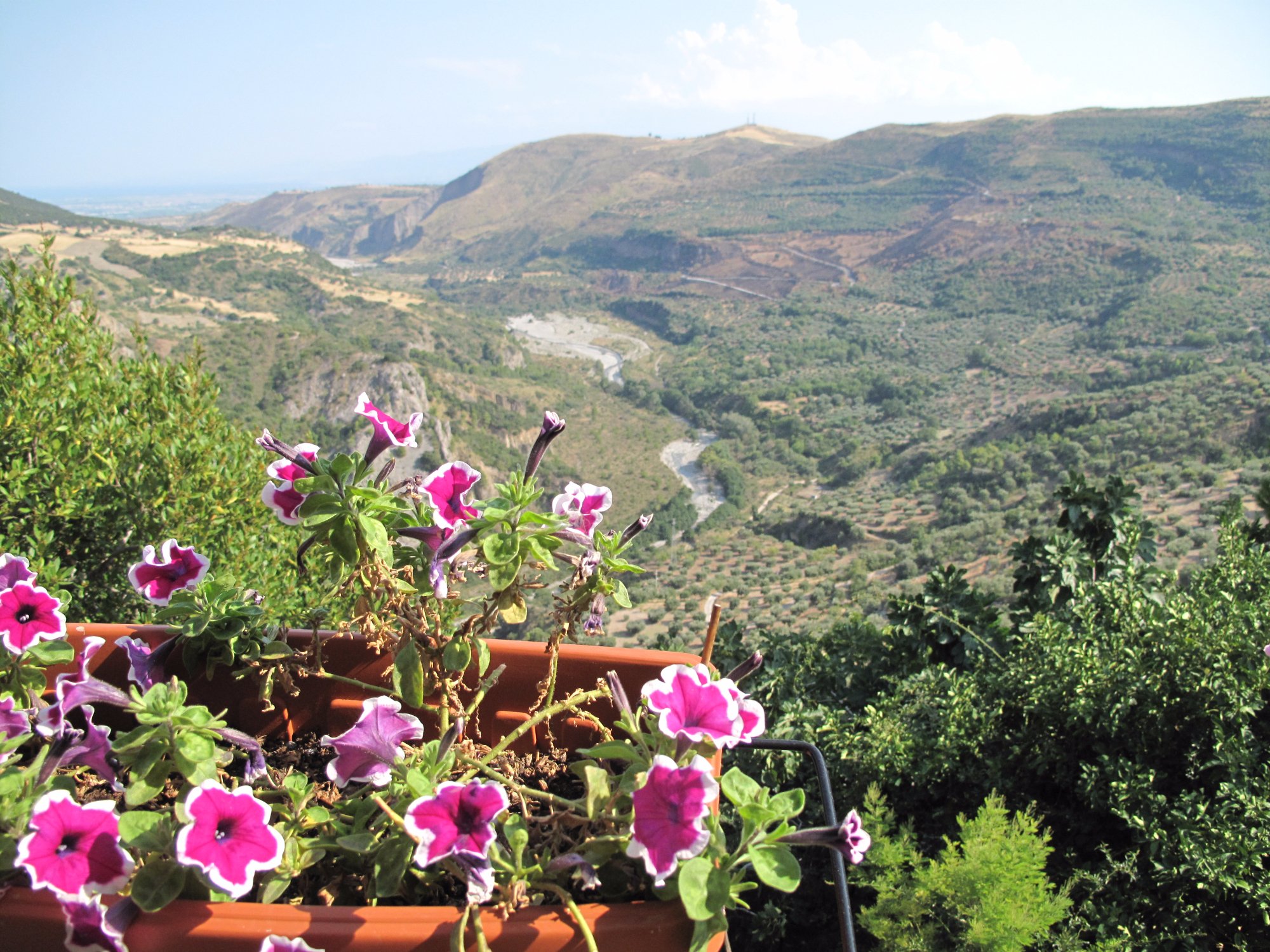 Bed and Breakfast Lo Sparviero-酒店景观
