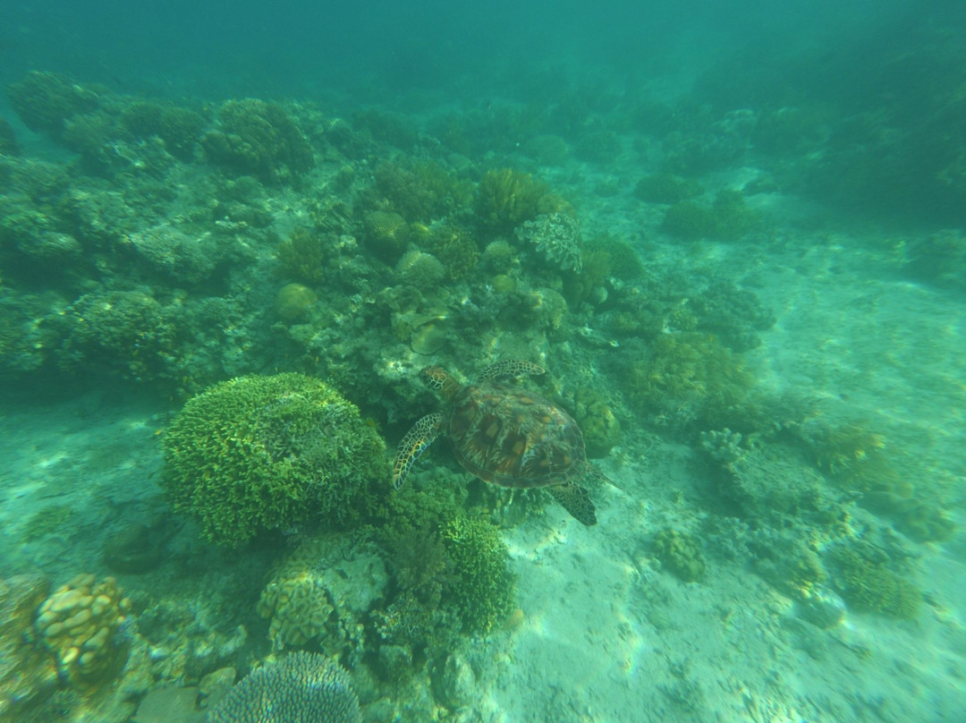 Napantao Marine Sanctuary-Padre Burgos必去景点