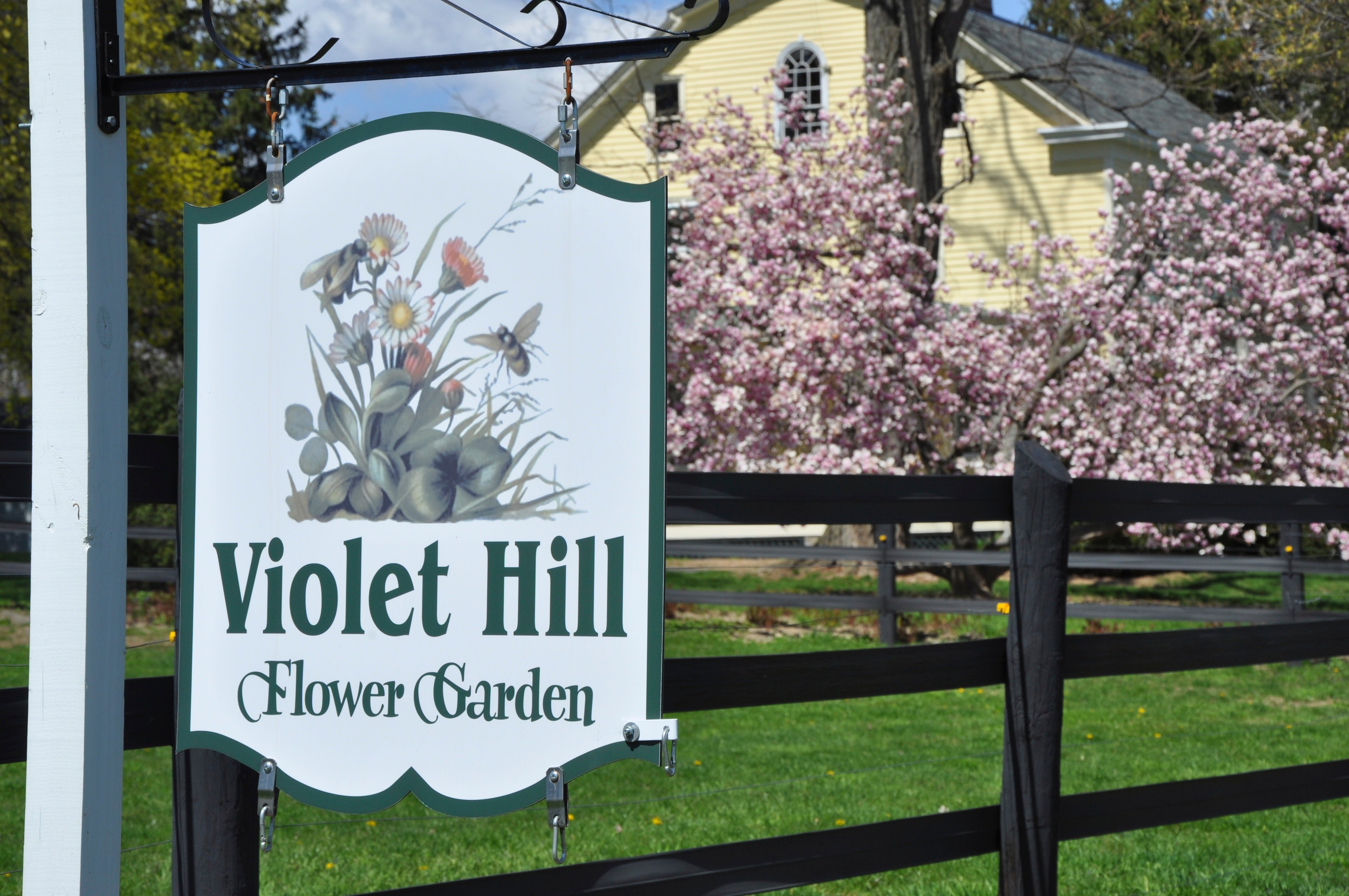 Violet Hill Bed and Breakfast-官方