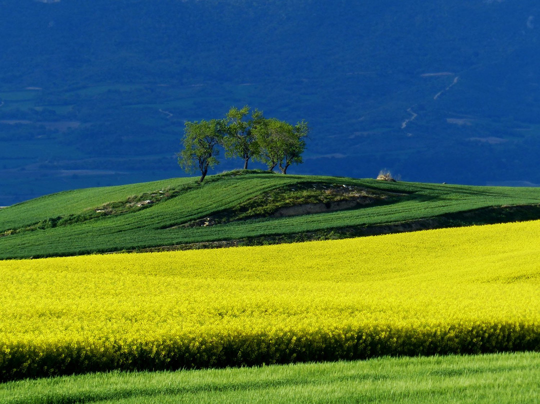 Traveloja-Herramelluri必去景点