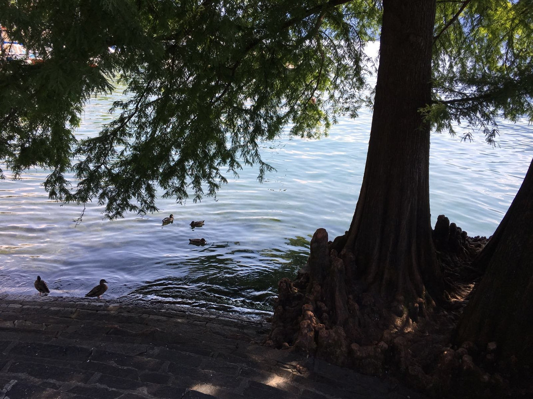 Navigazione Isole Borromee sul Lago Maggiore景点图片