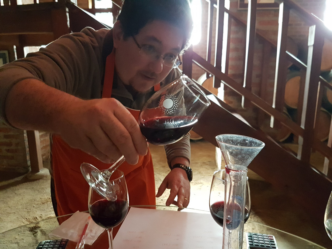 Chile Fun Tour-圣地亚哥必去景点