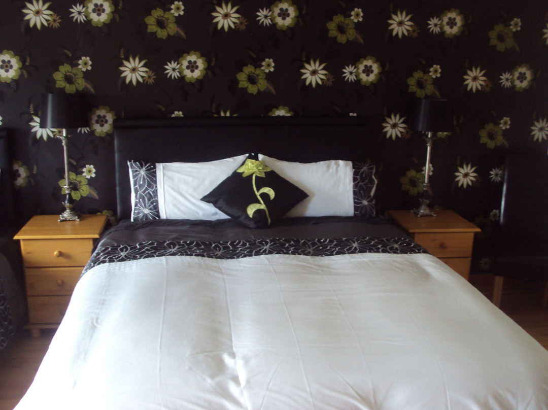 Moate酒店住宿-Shannonside Bed & Breakfast
