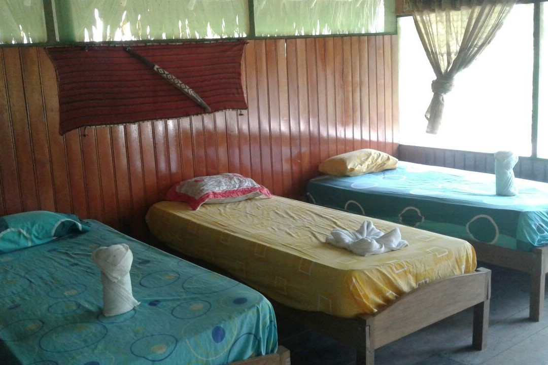 Amazon Camp Expeditions & Hostel