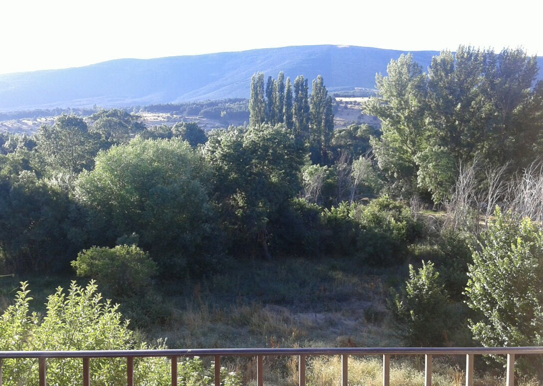 La Mesta