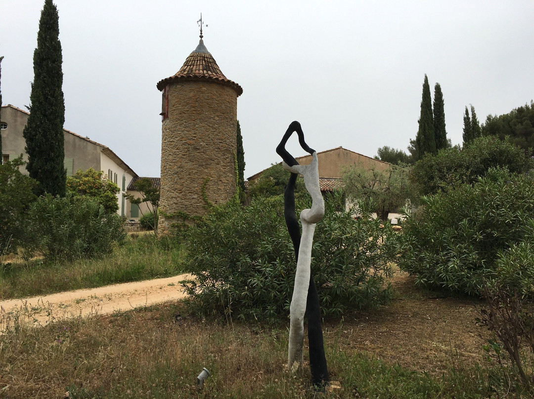 Domaine de l'Olivette景点图片