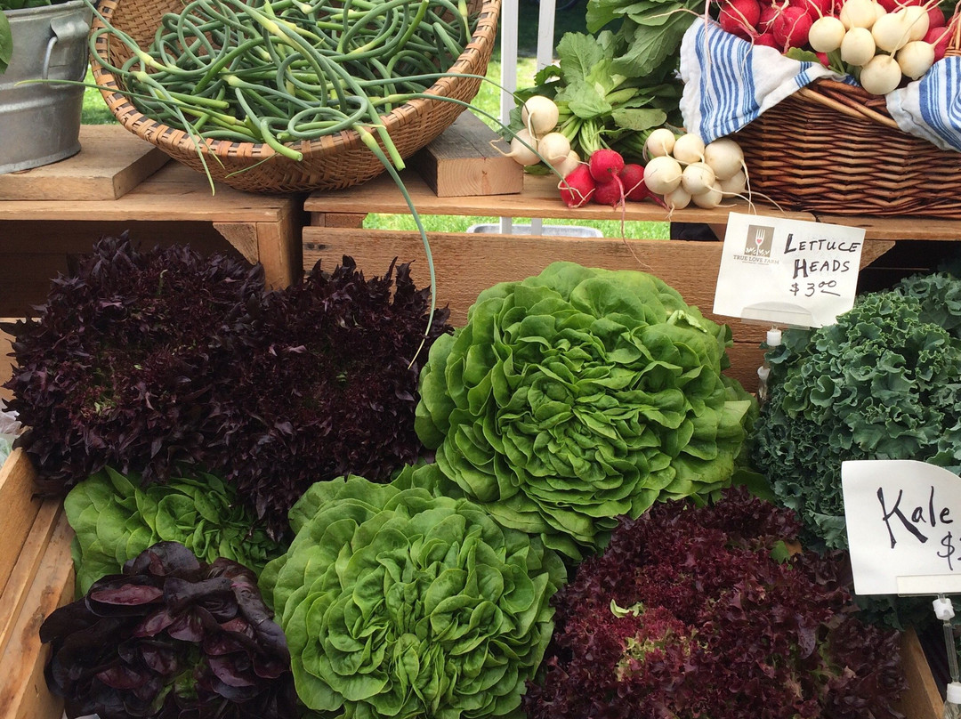 Walloomsac Farmers' Market-本宁顿必去景点