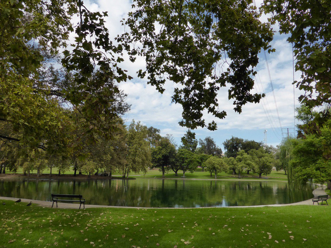 Rymill Park景点图片