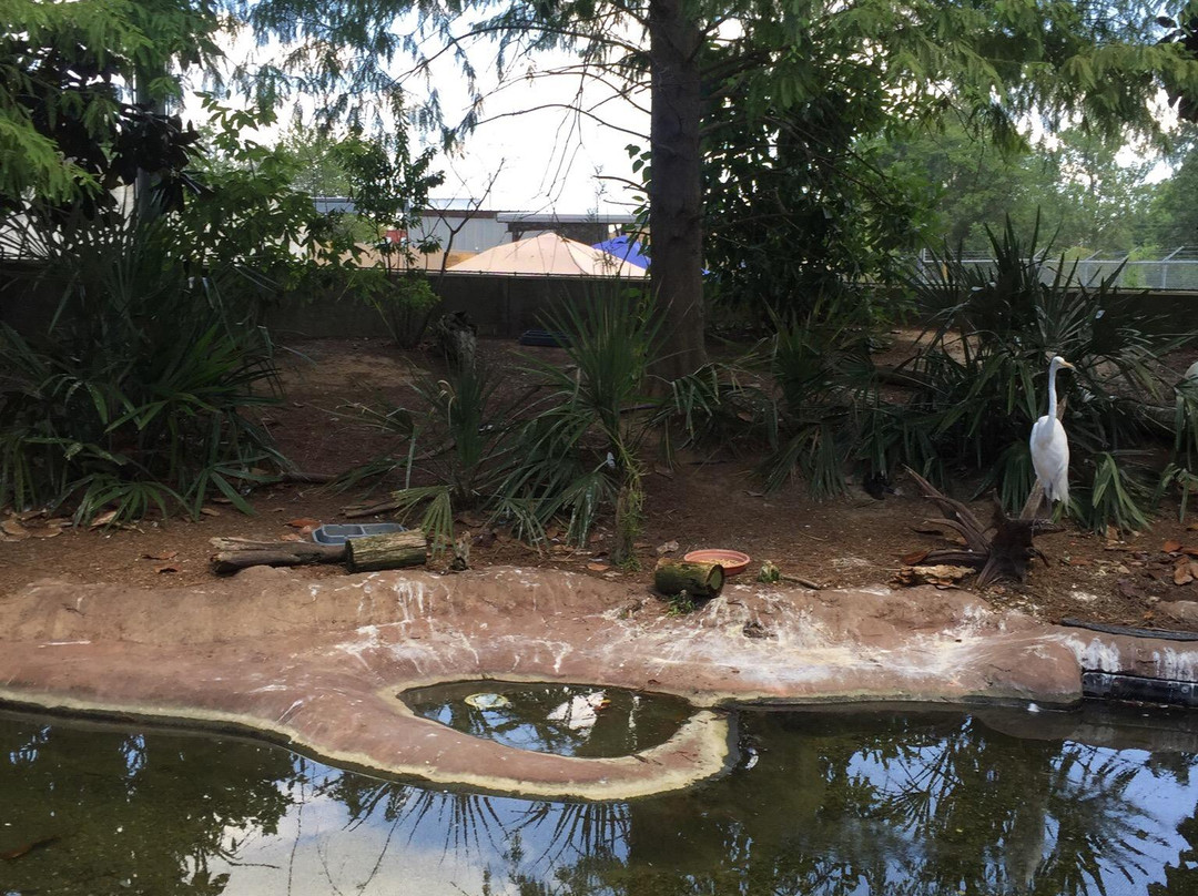 Flint RiverQuarium-奥尔巴尼必去景点