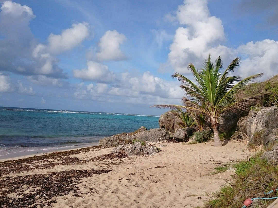 Club Caravelles主图