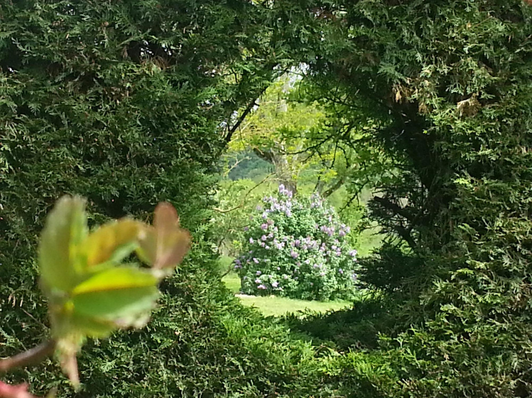 Le Jardin de la Mothe景点图片