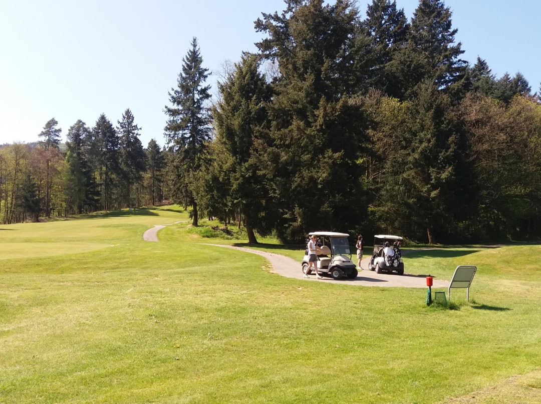 Golf Public d'Ammerschwihr Trois Epis景点图片