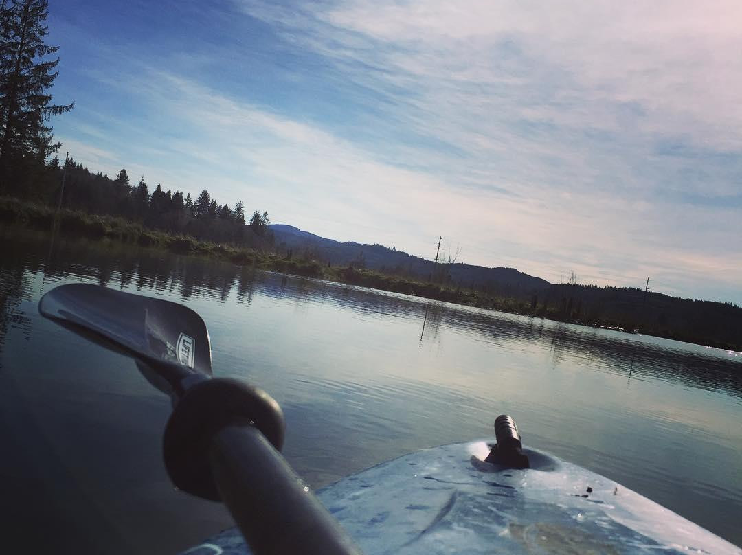 Willapa Paddle Adventures景点图片