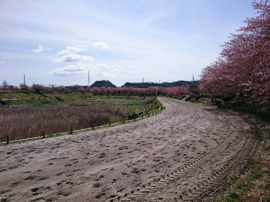 Iris Park Mizono-桑名市必去景点