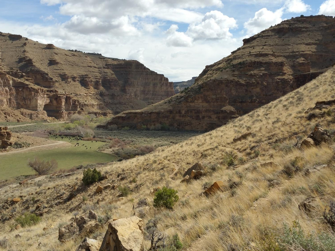 Wellington旅游攻略图片