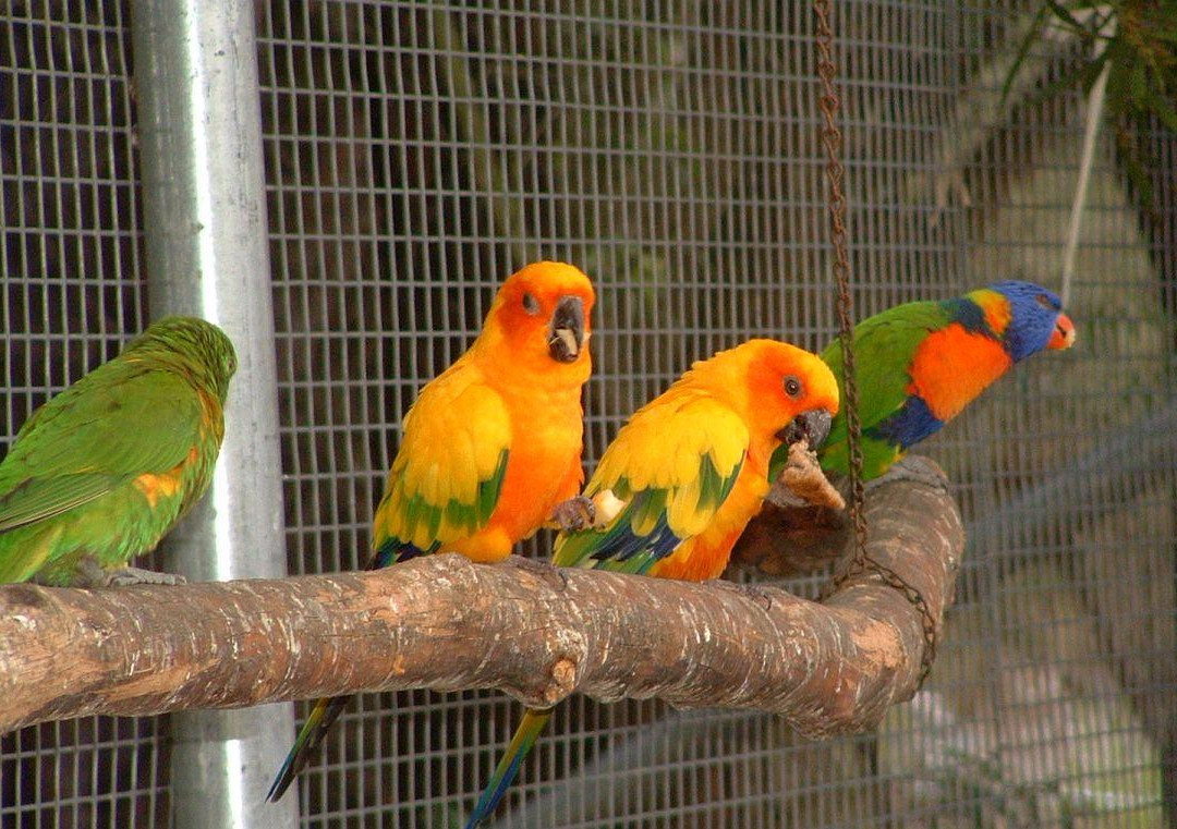 The Old Marron Farm-奥尔巴尼必去景点