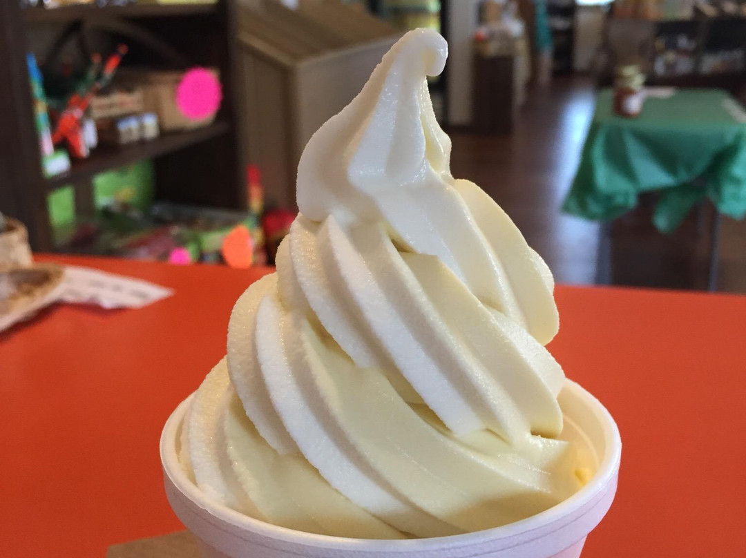 Sunsational Citrus-Umatilla必去景点